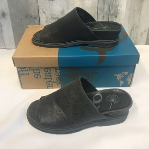 Black Slide on Mules